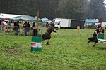 Südtiroler Highlandgames - Südtiroler Highlander 10707912