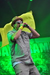 Chiemsee Reggae Summer 2012 10794429