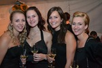 Hofball 2012 10865055