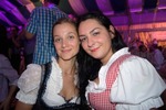 Wiener Wiesn Fest 10874905