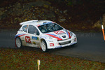 30. Internationale Jänner Rally 2013 11073217