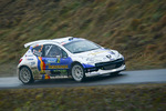 30. Internationale Jänner Rally 2013 11073220