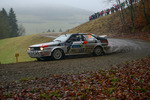 30. Internationale Jänner Rally 2013 11073383