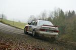 30. Internationale Jänner Rally 2013 11073395