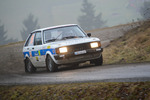 30. Internationale Jänner Rally 2013 11073434