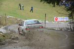 30. Internationale Jänner Rally 2013 11073815