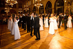 91. Wiener Blumenball 11097780