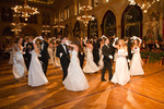 91. Wiener Blumenball 11097782