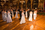 91. Wiener Blumenball 11097783