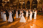 91. Wiener Blumenball 11097784