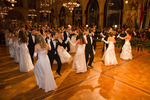 91. Wiener Blumenball 11097785