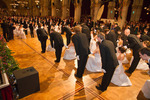 91. Wiener Blumenball 11097786