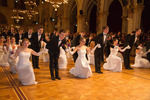 91. Wiener Blumenball 11097787