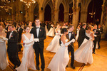 91. Wiener Blumenball 11097806