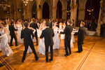 91. Wiener Blumenball 11097808