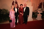 Ball der Offiziere 2013 11099230