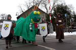 Faschingsumzug 2013 11156810