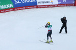 Ski WM Riesenslalom Herren 11161891