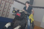 Bull Riding Party 11230173