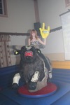 Bull Riding Party 11230205