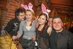 Sexy Bunny Party 11248623