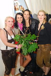 Das-Fest Michaelnbach 2013 11393662