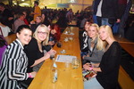 Das-Fest Michaelnbach 2013 11393728