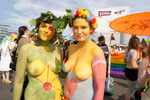 Regenbogenparade 2013 11415677
