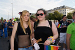 Regenbogenparade 2013 11415720