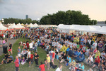 Donauinselfest 2013 - Nacht 11441676