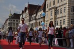 34. Steyrer Stadtfest 11453423