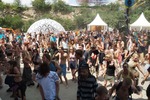 Paradise Festival - Tag 4 11494861