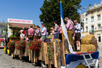 Hollabrunner Augustparade 11564474