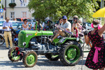 Hollabrunner Augustparade 11564475