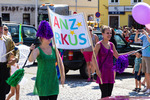 Hollabrunner Augustparade 11564490