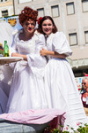 Hollabrunner Augustparade 11564525