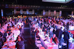 WebAd 2013 11641431