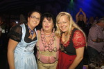 Wiener Wiesn Fest 2013 11659628