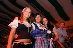 Wiener Wiesn Fest 2013 11659634