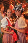 Wiener Wiesn Fest 2013 11687304