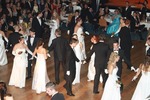 HLW Ball Hollabrunn Hollywood 11776050