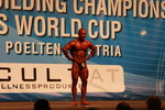 Weltmeisterschaft im Classic Bodybuilding und World Cup Bikini Fitness 11797551