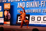 Weltmeisterschaft im Classic Bodybuilding und World Cup Bikini Fitness 11797552