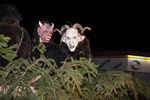 KrampusAuffahrt des MSC 11827254