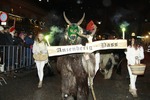 Krampuslauf Bad Goisern 11836607