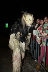 Krampuslauf Bad Goisern 11836661