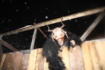 Krampuslauf Bad Goisern 11836979