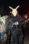 Krampuslauf Bad Goisern 11837016