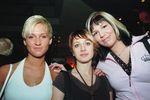 Disco Babes 1188773