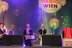 Wiener Silvesterpfad 2013/2014 11894199